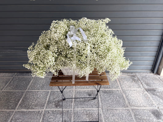 Cesta de Gipsofila blanca